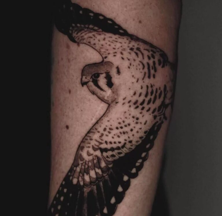 Narben Coverup