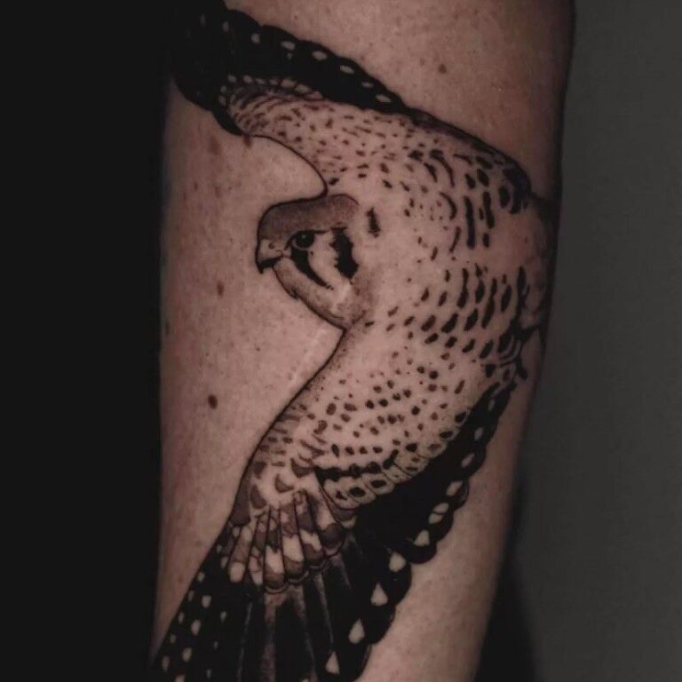 Narben Coverup